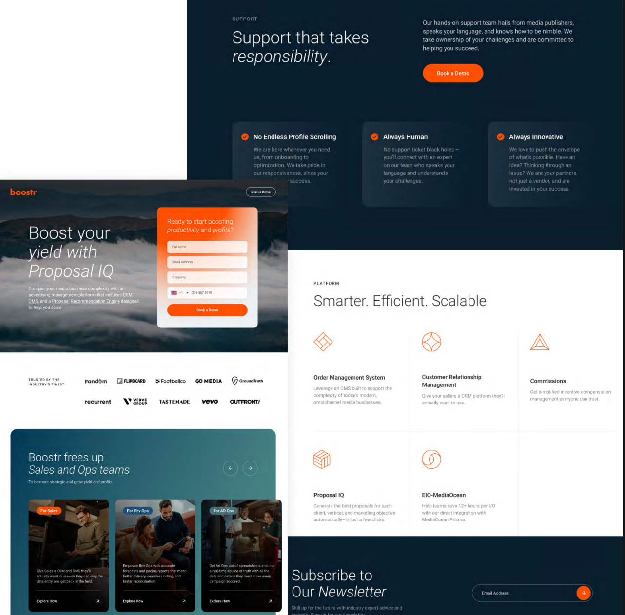 Website & Landing Page 10