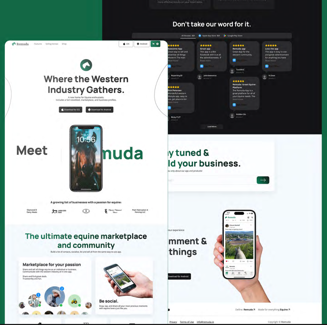 Website & Landing Page 8