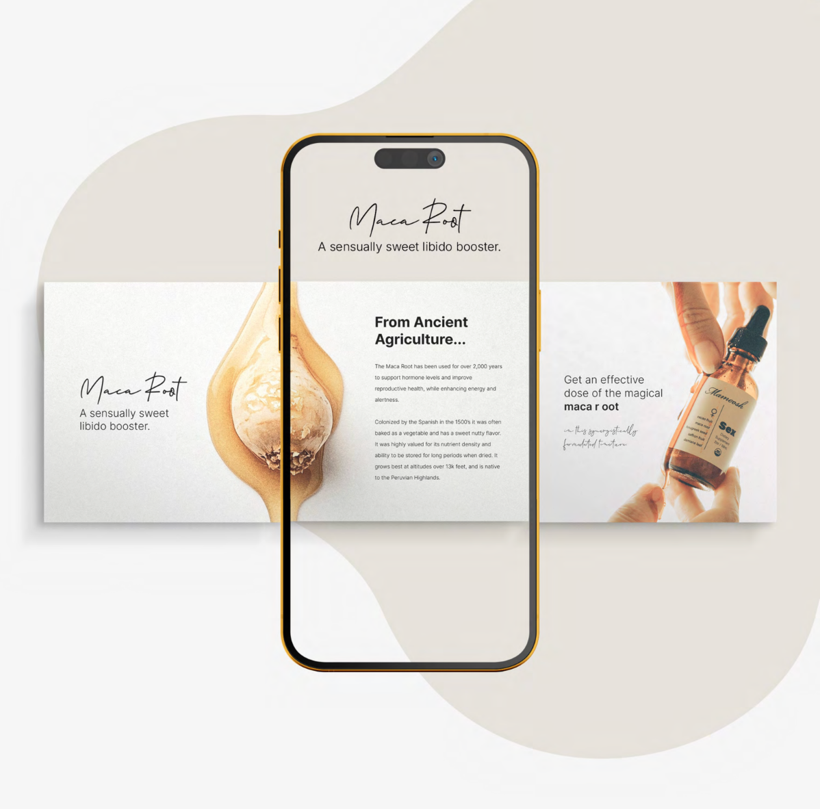 Social Media Creative 7